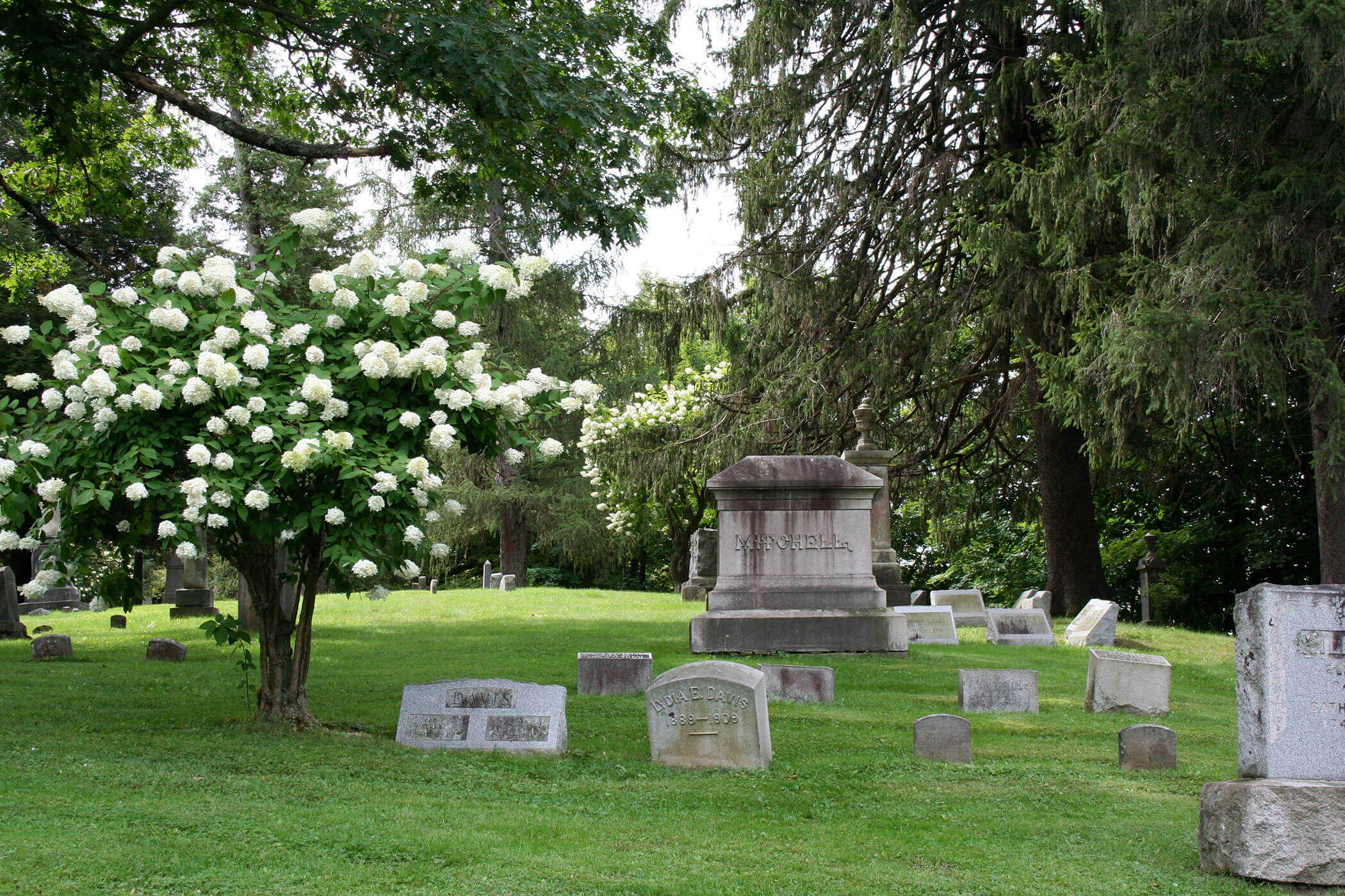 Sunset Hill Park - Meiro Marketplace