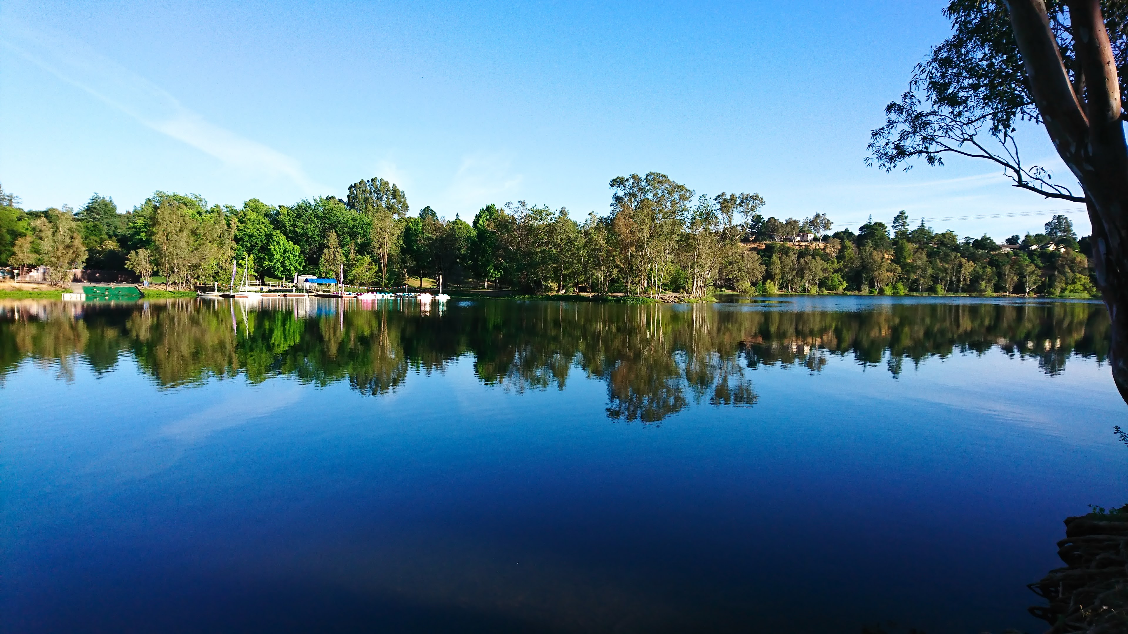 What Makes Los Gatos Vasona Park A Mustvisit? Insider Tips - Meiro ...